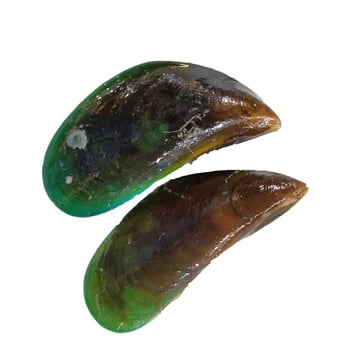 Tahong