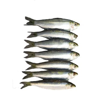Tawilis